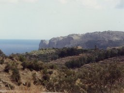 Mallorca 1993 034